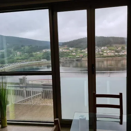 Vive * Viveiro